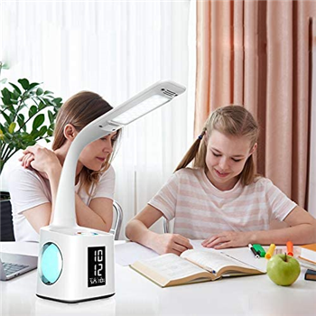 Study LED Desk Lamp with USB Charging port