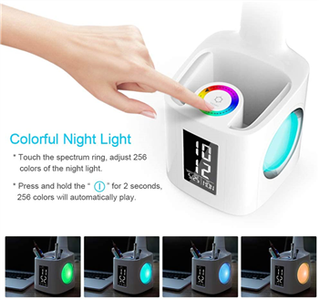 Study LED Desk Lamp with USB Charging port
