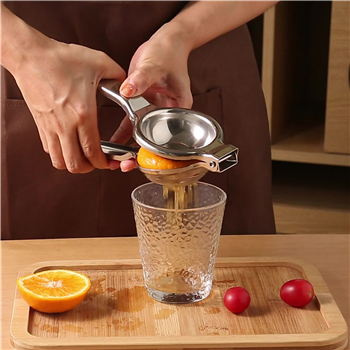 Stainless Steel Manual Lemon Clip