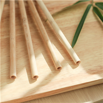 Disposable Bamboo Eco Straw