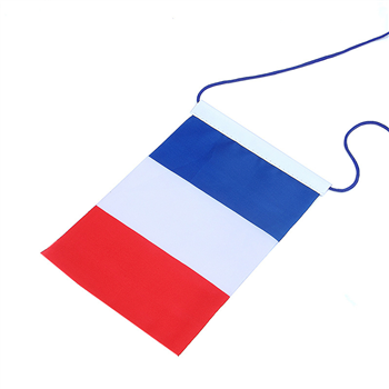 Plastic Megaphone With Banner