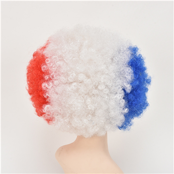 World Cup Fans Wig