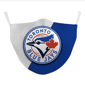 3D 2 Ply Sports Facemask