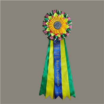 Custom Ribbon Medal