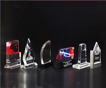 Customize Oval Acrylic Paperweight