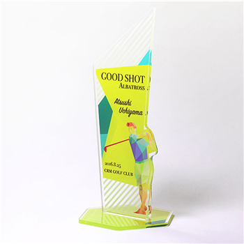 Custom Acrylic Award Trophy