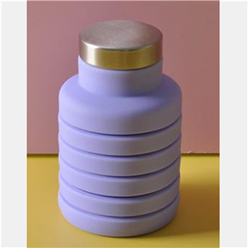17oz Collapsible Food Grade Sport Portable Silicone Water Bottle