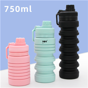 25 oz Silicone Collapsible Water Bottle