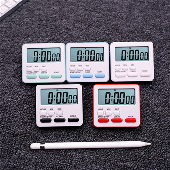 Electronic Timer