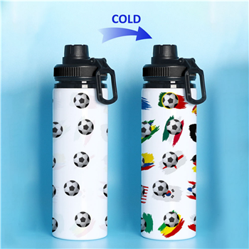 Color Changing Aluminium Football Bottle