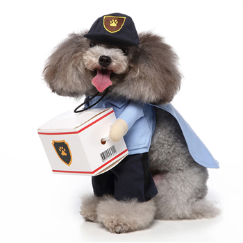 Halloween Pet Dress / Puppy Clothes