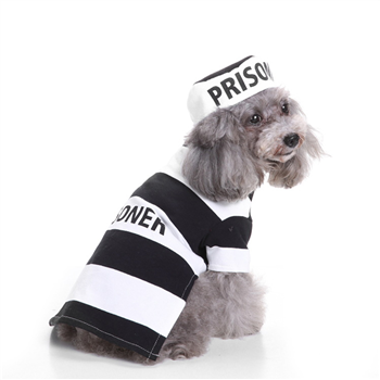 Halloween Pet Dress / Puppy Clothes