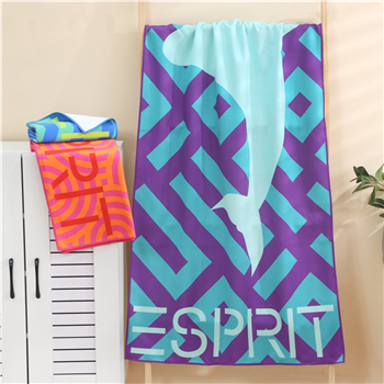 Quick Dry Absorbent Sports Towel