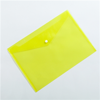 Envelope Document Holder