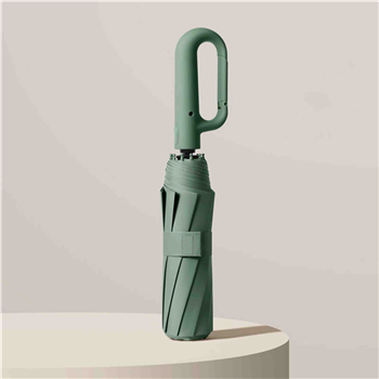 Buckle Automatic Umbrella