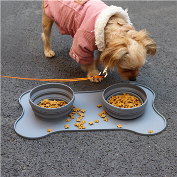 Foldable Pet Double Bowl Mat