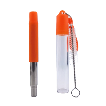 Retractable Straw with Case