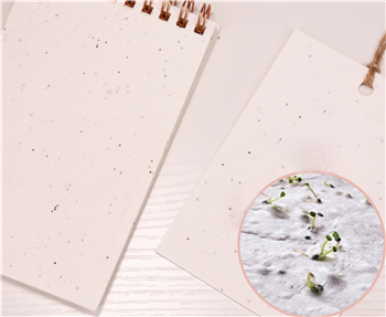 Eco Seed Paper Coil Sticky Notes