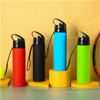 20oz. Collapsible Sillicone Bottle