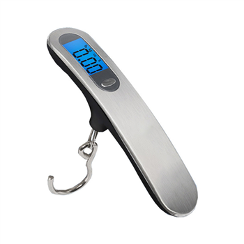 Hook Weight Scale