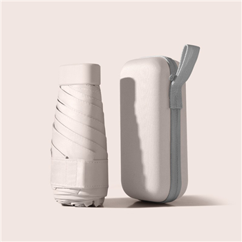 Mini Umbrella With Carrying Case