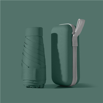 Mini Umbrella With Carrying Case