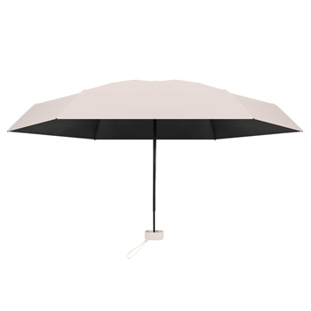 Mini Umbrella With Carrying Case