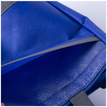 Lunch Cooler Tote