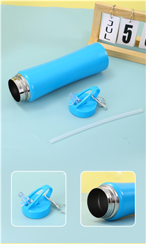 20 oz. Portable Stainless Steel Bottle