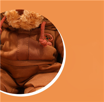 Teddy Bear- Brown