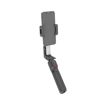 2-Axis Gimbal Stabilizer W/ Built-in Extension Rod Model A10 Dark Grey