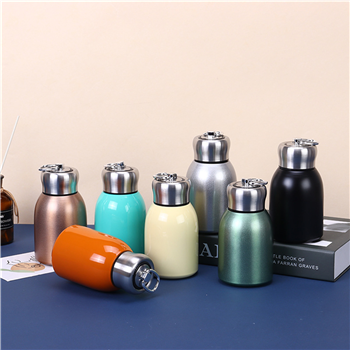 10Oz Handle Vacuum Water Bottle