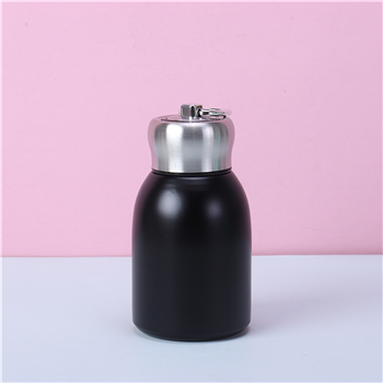 10Oz Handle Vacuum Water Bottle