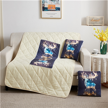 Pillow Quilt