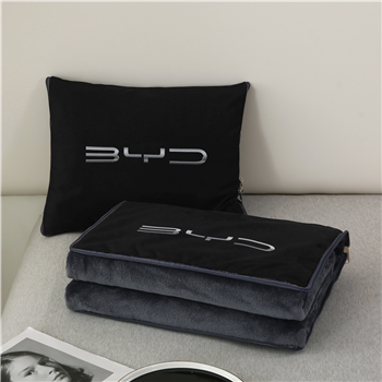 Pillow Blanket