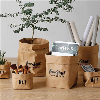 Washable Kraft Paper Grocery Bag