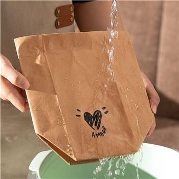 Washable Kraft Paper Grocery Bag