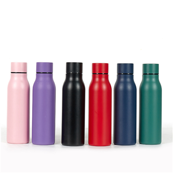 17Oz Stainless Steel Water Bottle