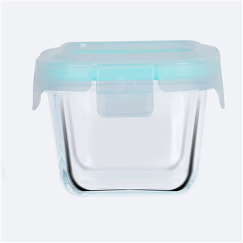 Small Glass Food Storage Container
