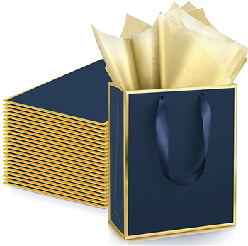 Gift Bags w/ Tissue Paper 