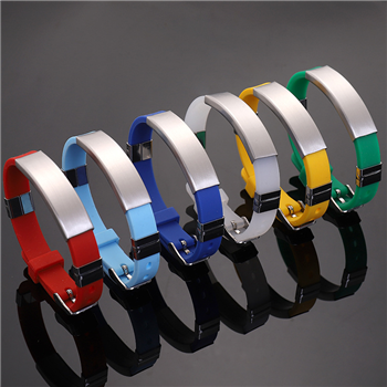 Titanium Steel Silicone Bracelet