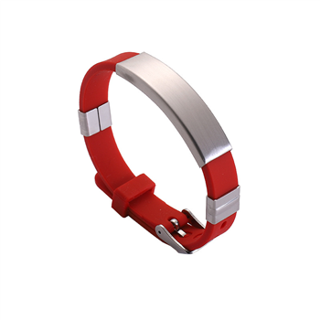 Titanium Steel Silicone Bracelet