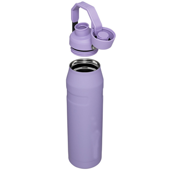 25oz. Insulated Bottle with Handle