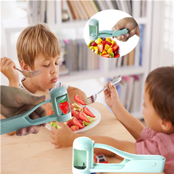 Fruit Cutter